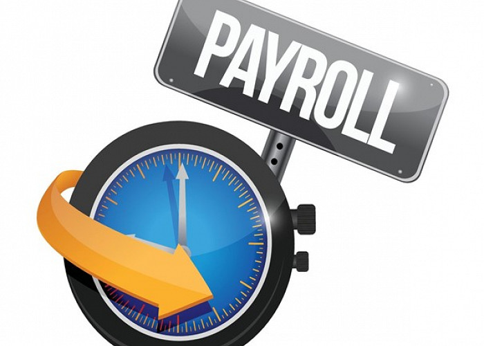 The Legal Aspect of Payroll Administration and Its Practical Applications